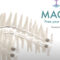 Claudio Bellu – Maga Orthodontics