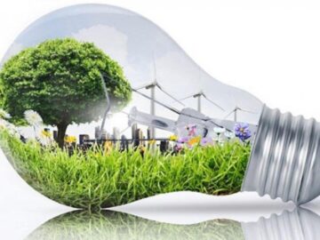 ecologia-green-ambiente