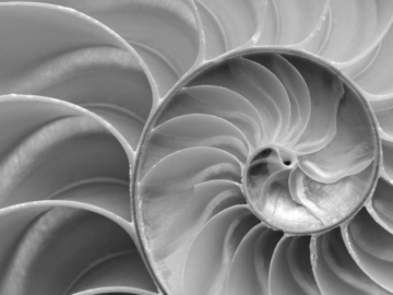 Economia circolare e le professioni del futuro