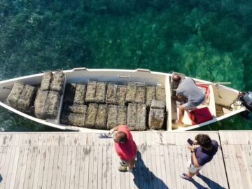 WhatsApp Image 2022-06-21 at 11.40.13