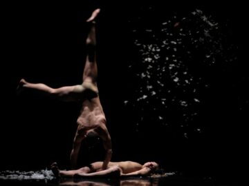 0bdaff10-3ecd-4b63-bc31-89e8abfdf7f8