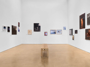 Immagine 2025-02-03 113520