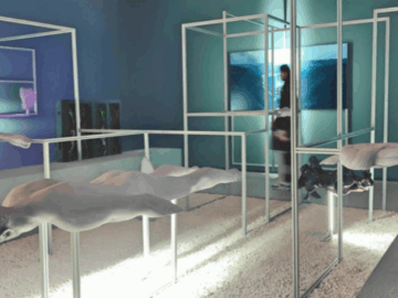 Immagine 2025-08-07 100001