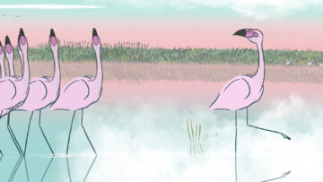 Un-fenicottero-di-nome-tango