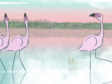 Un-fenicottero-di-nome-tango