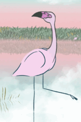 Un-fenicottero-di-nome-tango-vert