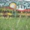 image0.jpeg