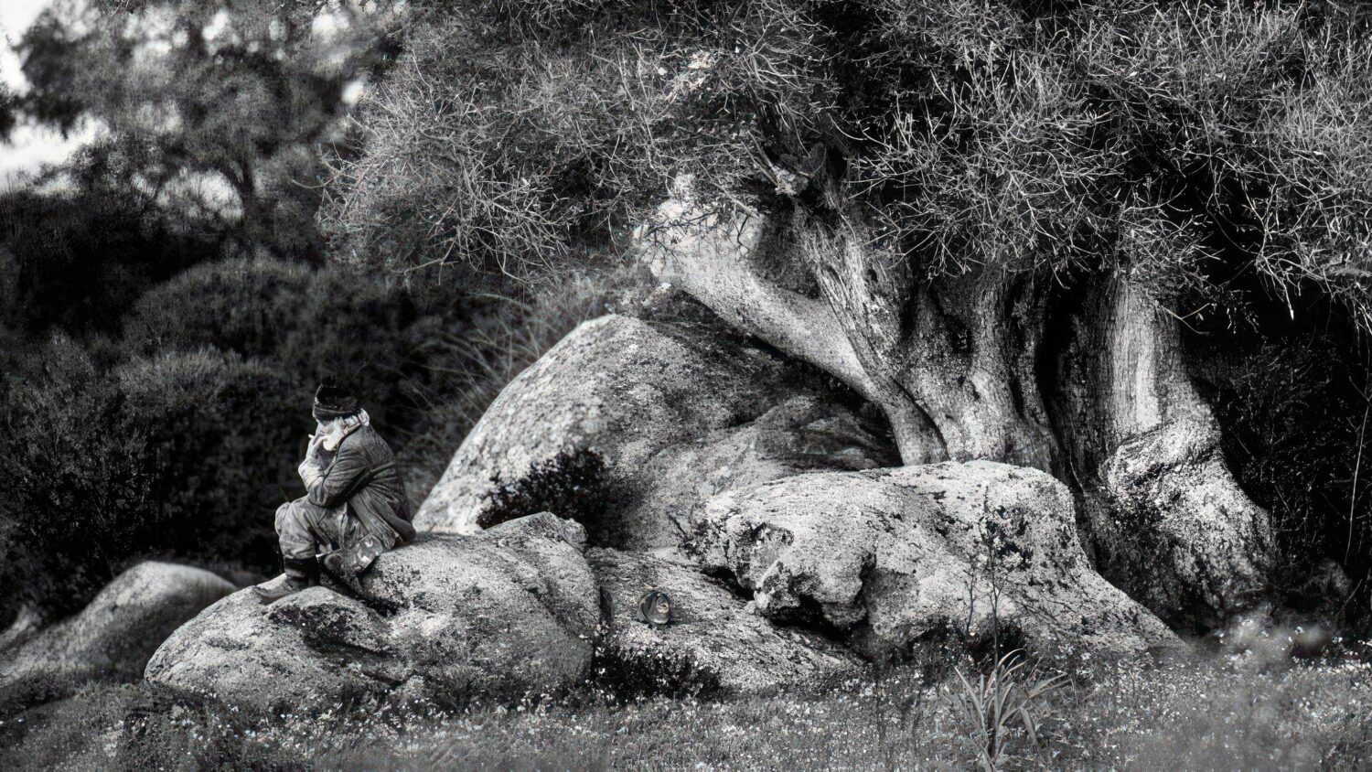 “Il Paese del Vento”, il libro di Tonino Mosconi nelle radici profonde della Sardegna