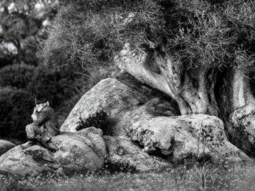 “Il Paese del Vento”, il libro di Tonino Mosconi nelle radici profonde della Sardegna