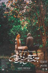 The orange frost 3